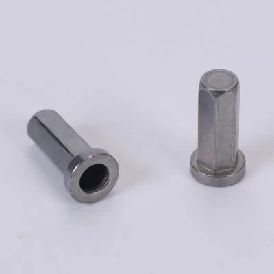 فلیټ Rivet مغز